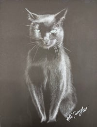 Black Cat Print