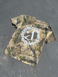 Image 2 of Crown of Thorns “Real Tree”