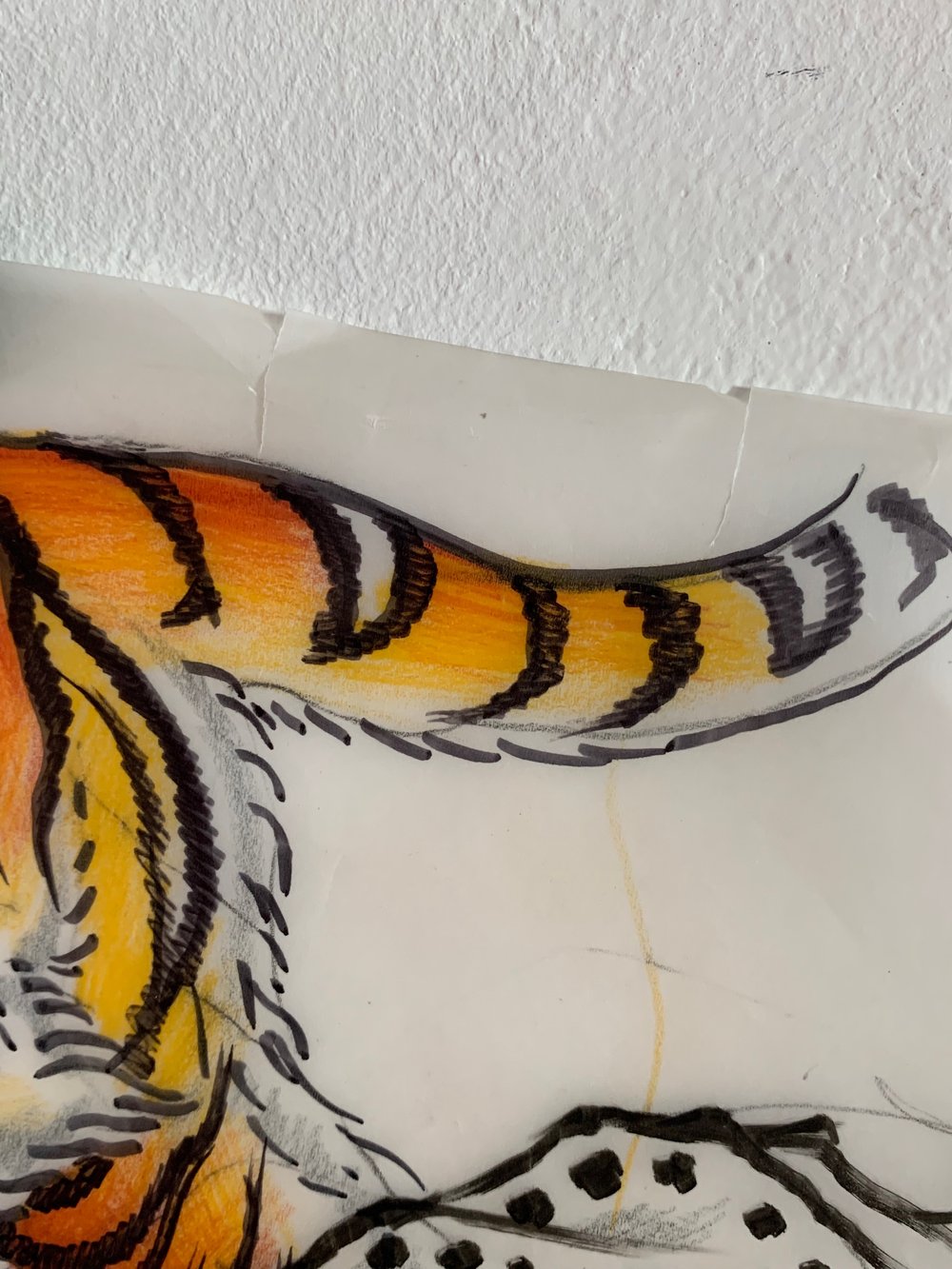 Image of Crawling tiger w rock on tracing paper 