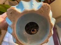 Image 5 of 'Red Imperial' Philodendron in Owl Pitcher