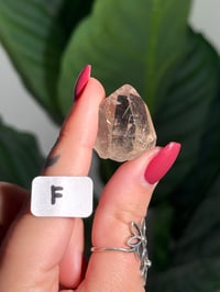 Image 7 of CHOOSE YOUR OWN MINI RUTILE SMOKEY QUARTZ POINTS (NATURAL UNPOLISHED POINTS) -BRAZIL- LOT 2