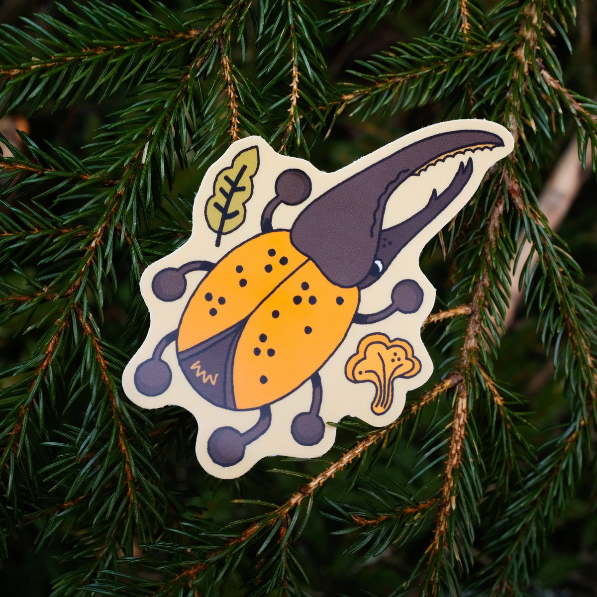 Beetle Sticker | ↟CAMP MUSTELID↟