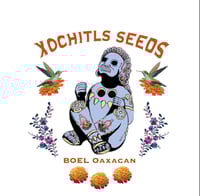 Xochitls Seeds - Boel Oaxacan 