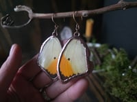 Image 1 of Butterfly Wing Earrings (yellow)