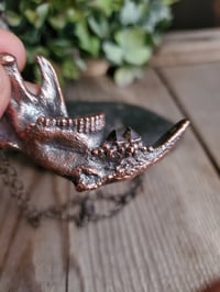 Image 6 of Muskrat Jawbone with Smoky Quartz