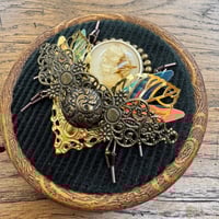 Image 3 of Dried flower beetle (a, 3.5  inches)