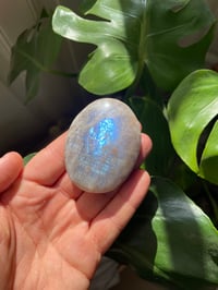 Image 1 of Moonstone Palm Crystal (7)