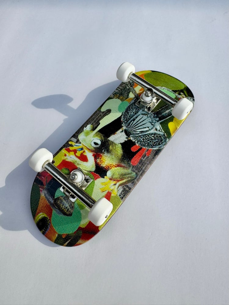 Image of Frog King complete