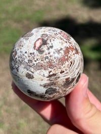 Image 5 of Money Agate Sphere #2834