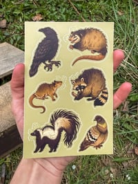 Image 2 of Urban Trash Animals Sticker Sheet 4 x 6”
