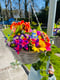 Image of 14inch Grey Bright Colours