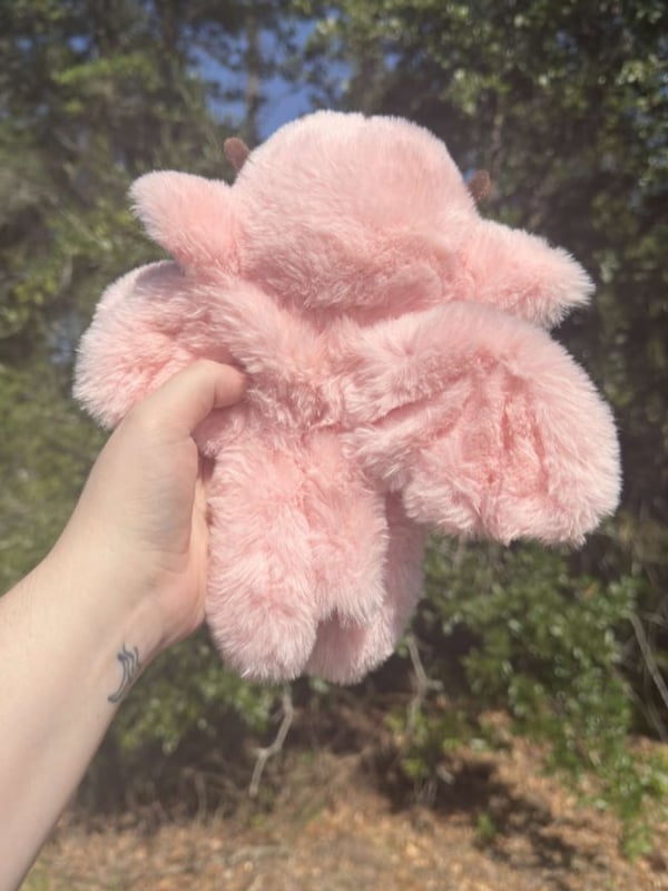 Image of Sarai Sakura Dragon Baby Noodle