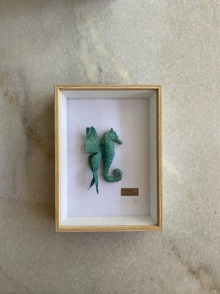 Image of Teal winged seahorse framed specimen. Faux taxidermy