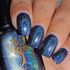 Image of In the stars