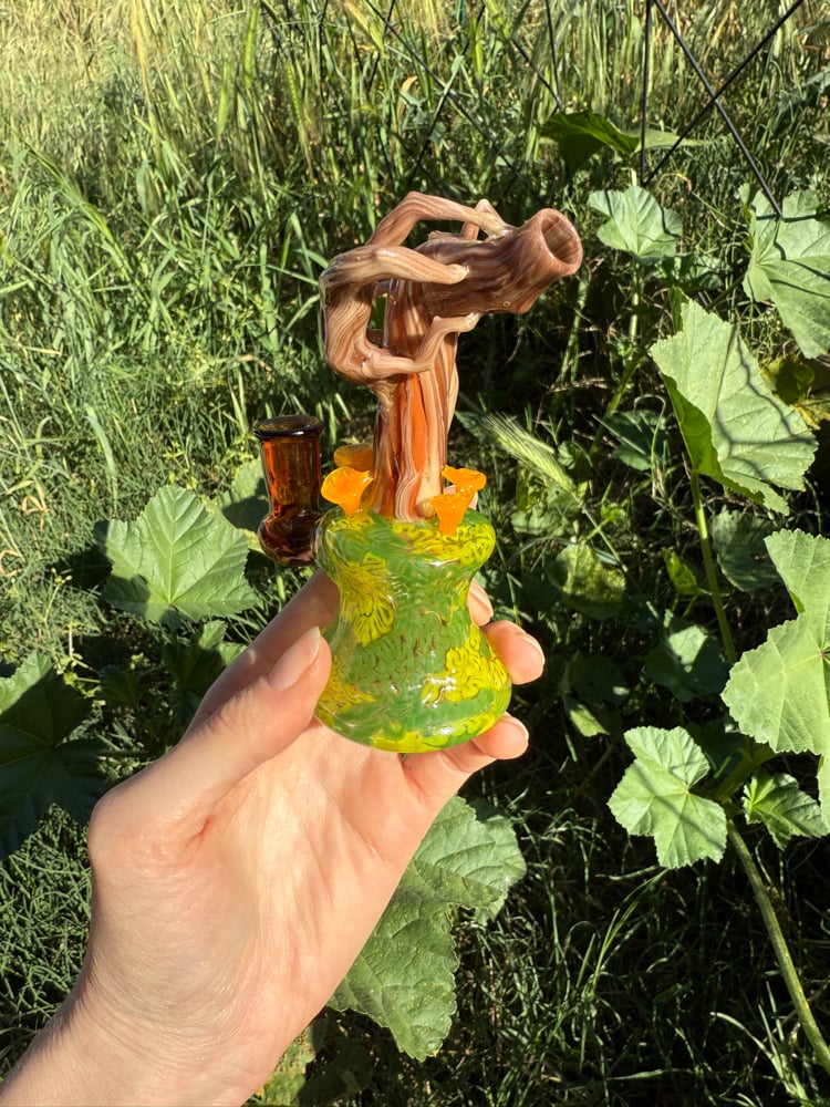 Image of Chanterelle Jammer