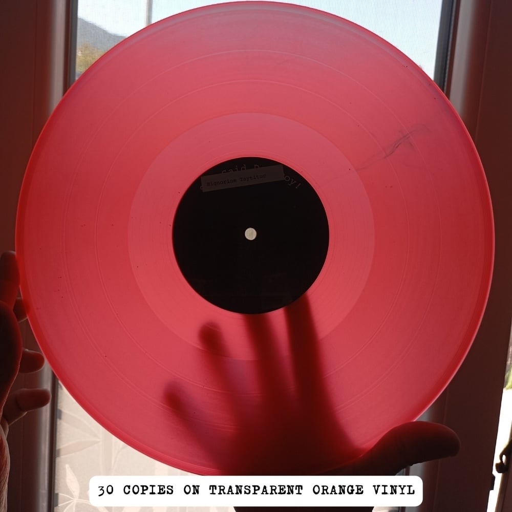 Signorine Taytituc \ She Said Destroy! ( Split, LP )