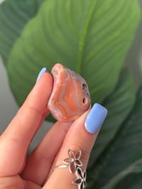 Image 2 of TUMBLED AGATE #41 -MOZAMBIQUE-