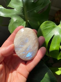 Image 2 of Moonstone Palm Crystal (2)