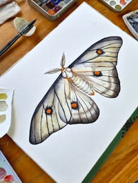 Image 1 of Ghostly Moth ORIGINAL ARTWORK