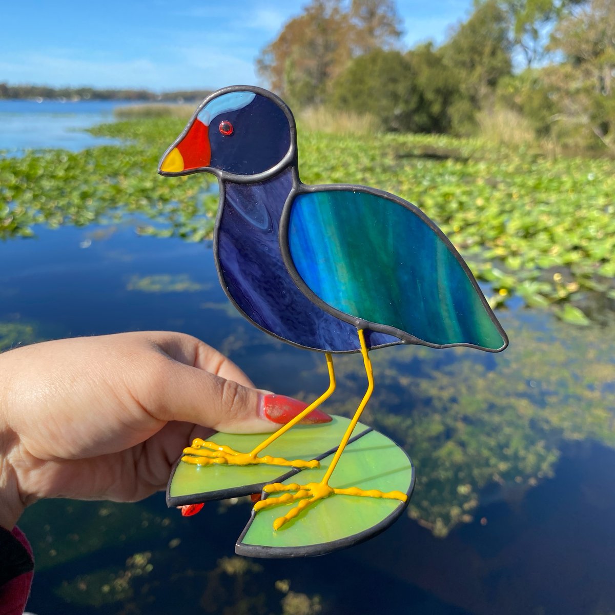 Image of Purple Gallinules 