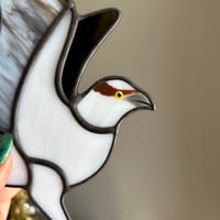 Image 3 of Osprey with a Catch