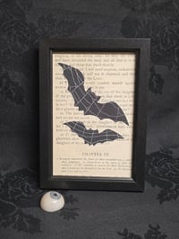 Image 1 of 1800’s biblical BATS with preserved spider web - black framed -4