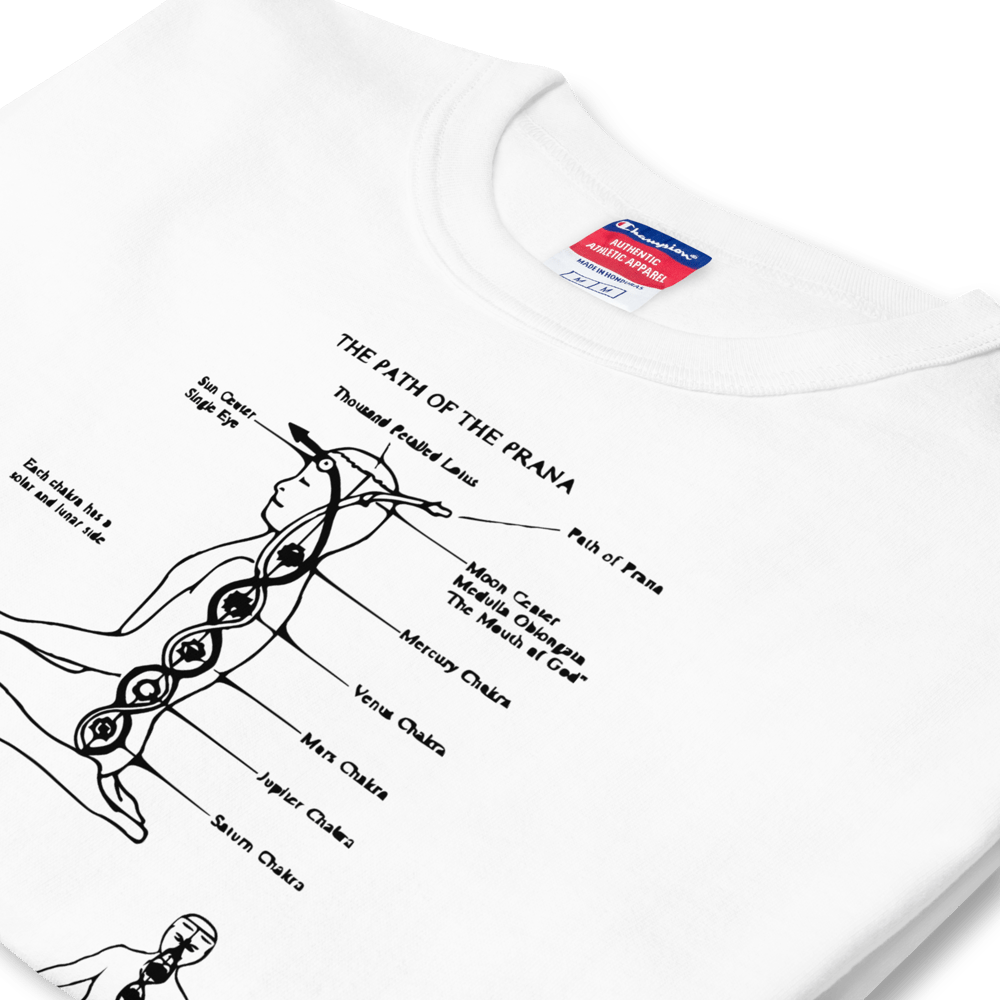 Prana T-Shirt