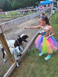 Image 11 of Princess Tea Party, colorful unicorns, princess appearance, snow fall, MORE! 