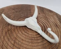 Image 2 of Cow Skull Wall Hook - SKU 485