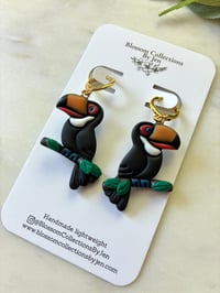 Image 2 of Toucans