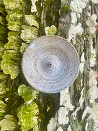 Image 1 of Incence Burner/Ash Catcher 