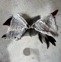 Bow feather
