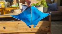 Image 2 of Sting ray 2