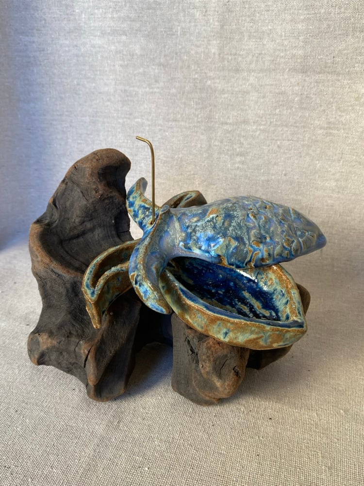 Image of Caja Pez II ~ Mensajeros del agua