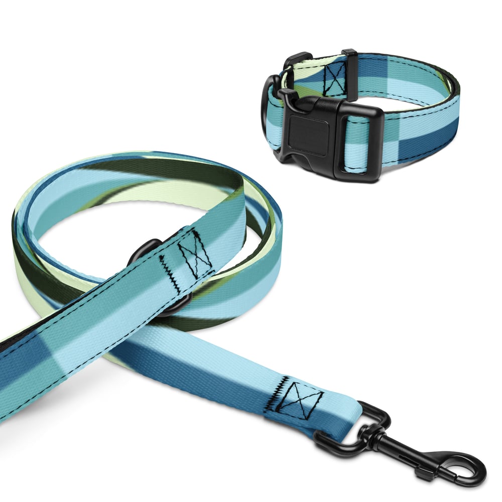 Image of Pet collar & leash Blue Ice