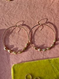 Image 1 of Hunter hoops