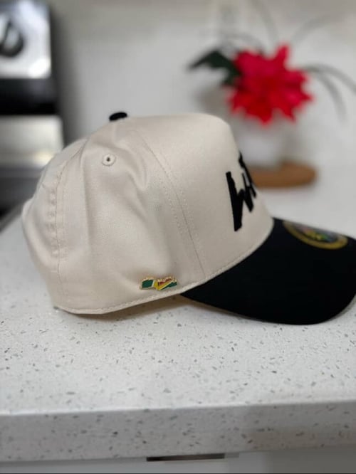 Image of Trinidad & Guyana Flag Pins