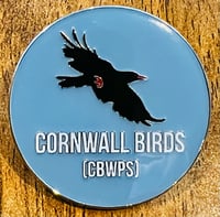 Image 1 of Cornwall Birds (CBWPS) Pin Badge 