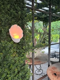 Image 5 of Oyster Wall Candle Holder