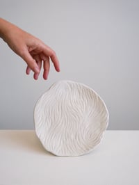 Image 1 of Petite assiette 3