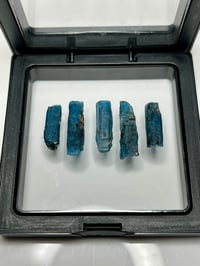 Image 2 of Ocean Kyanite Blades | Harts Range NT Australia #3078