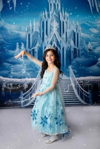 Image 1 of Frozen Mini Sessions 