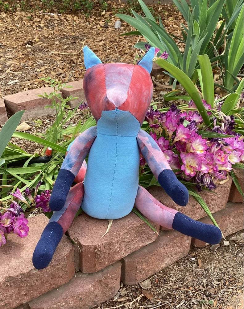 Image of Red and Blue Fox