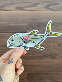 Image 3 of Jack Crevalle Mehoff Sticker