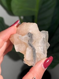 Image 5 of BOWTIE STILBITE X DIAMOND APOPHYLITE -INDIA- L