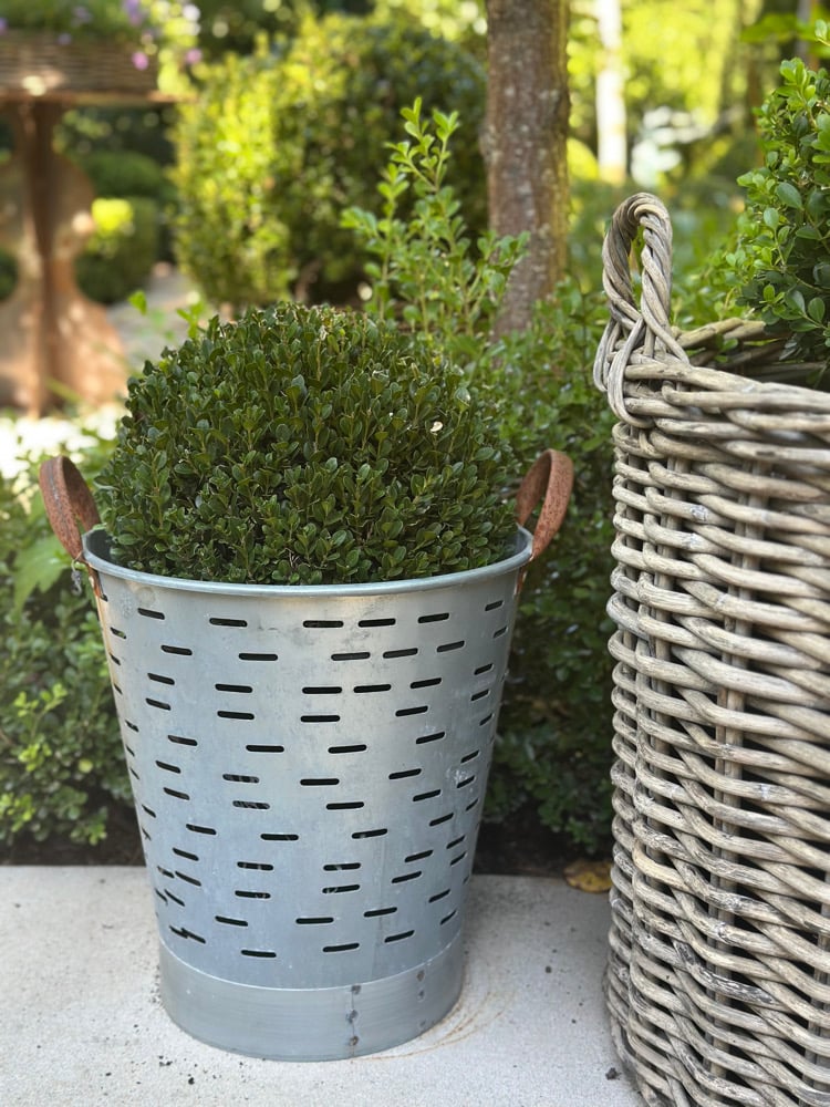 Image of Vintage Turkish Olive Bucket 