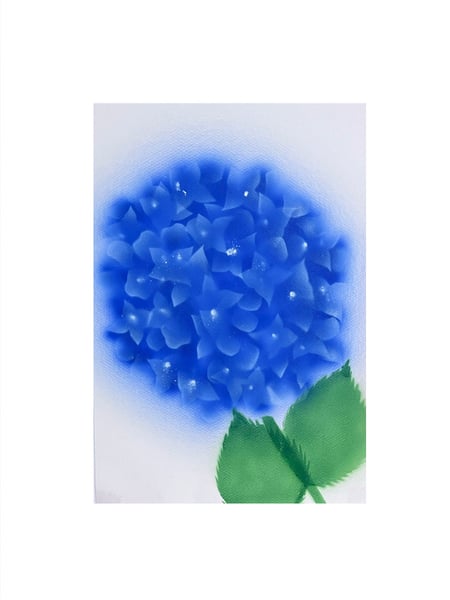 Image of Hortensia - 1 inflorescence (1)