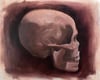 skull study - original 