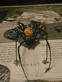 Image 7 of Statement "Lullaby"  1897 Taxiderny orbweaver Spider & Preserved Web