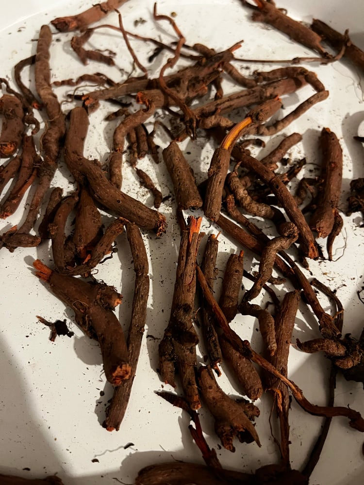 Image of Madder Root